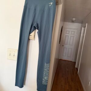 Gymshark Teal Leggings